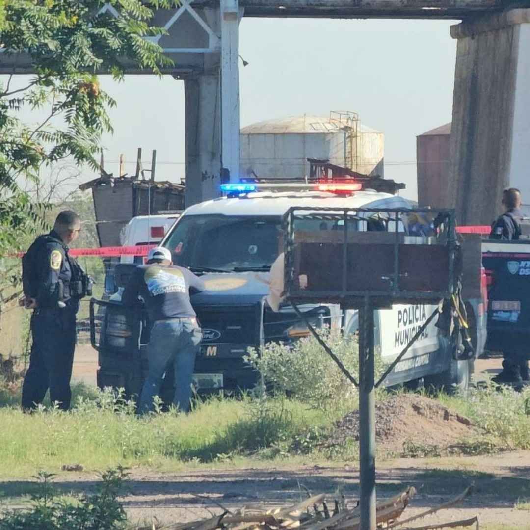 El Caballo fue Trasladado a una Clínica Veterinaria